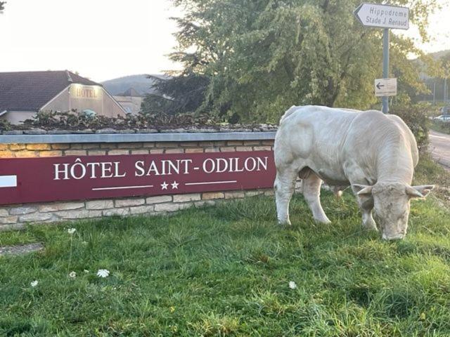 Hotel Saint Odilon Cluny Exteriér fotografie